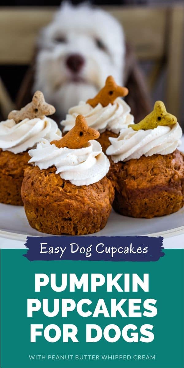 Four pumpkin pupcakes on a white cake stand with my dog behind it and colorblock with recipe title on bottom