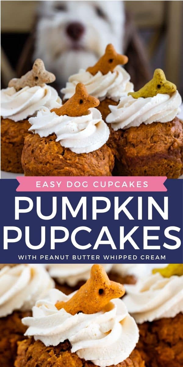 Photo collage showing pumpkin pupcakes with color block and recipe title in middle of photos
