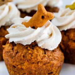 Close up shot of pumpkin pupcake with icing and a dog treat on top
