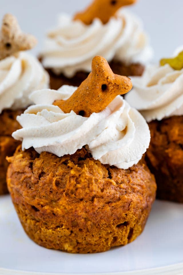 Close up shot of pumpkin pupcake with icing and a dog treat on top