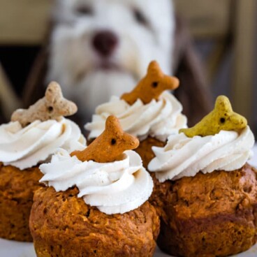 Pumpkin pupcakes on a white cake stand with dog in background