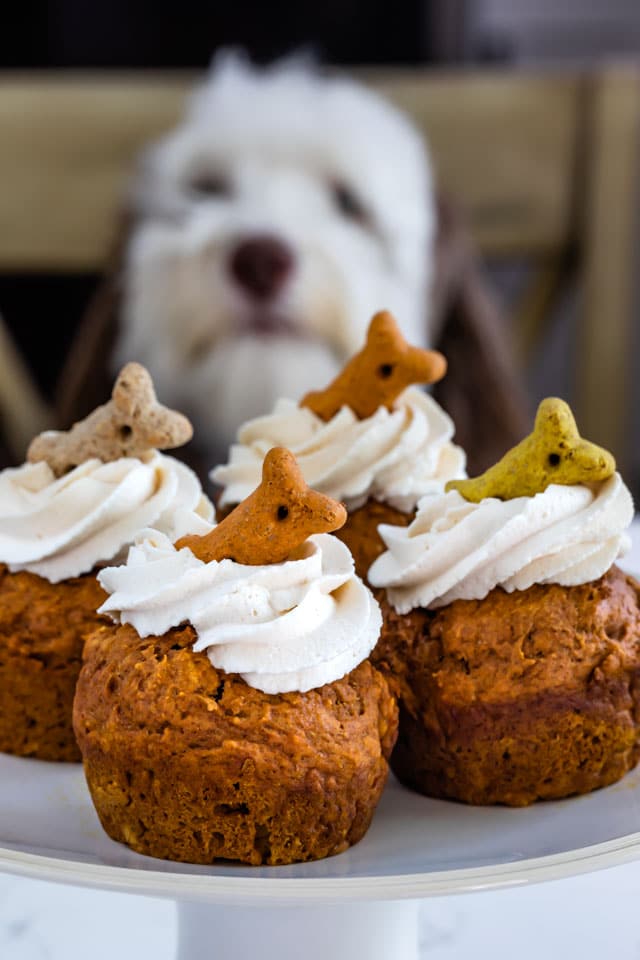 Pumpkin Pupcakes (Dog Cupcakes) - Crazy for Crust