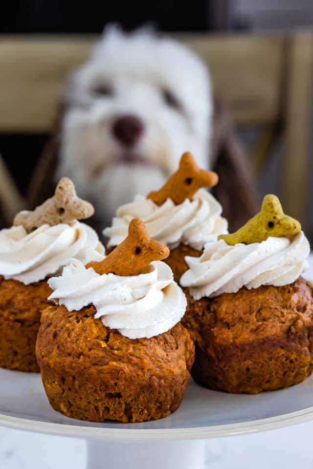 Pumpkin pupcakes on a white cake stand with dog in background