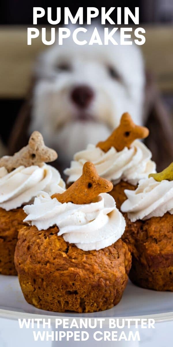 Four pumpkin pupcakes on white cake stand with my dog out of focus in background and recipe title on top of image