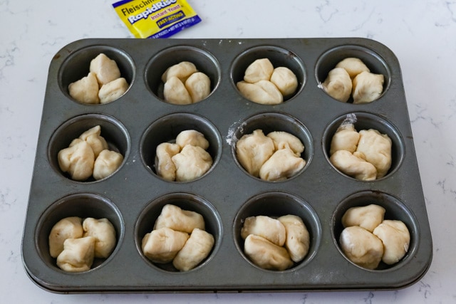 Raw dough in muffin pan before being baked into cloverleaf dinner rolls