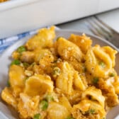 Cheesy chicken casserole on a grey dish with rest of casserole in background