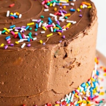 Chocolate frosting birthday cake with rainbow sprinkles and recipe title on image