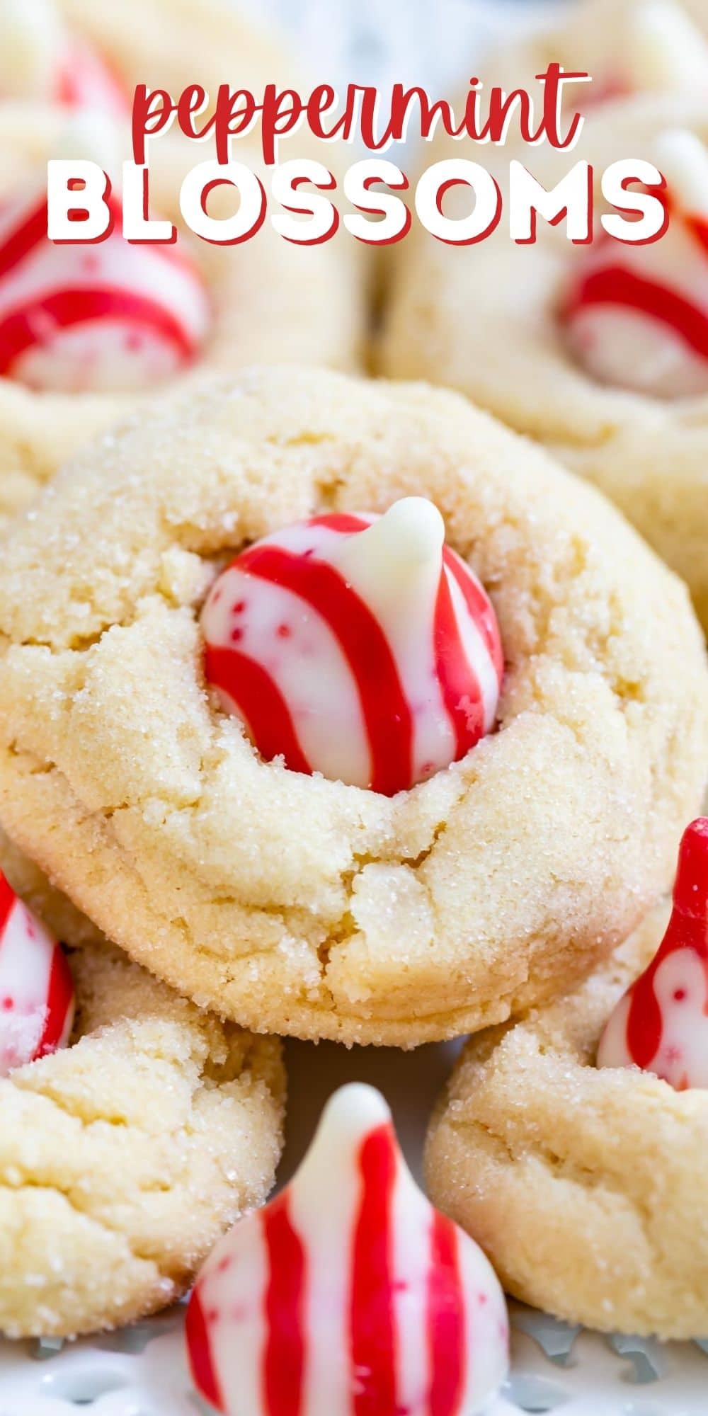 Close up shot of peppermint blossom cookies with recipe title on top of image
