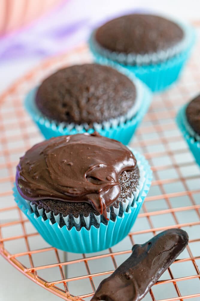 Close up photo showing best chocolate cupcakes in blue cupcake liners with fresh frosting on top of one