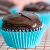 Close up photo of best chocolate cupcakes with chocolate frosting in a blue cupcake liner