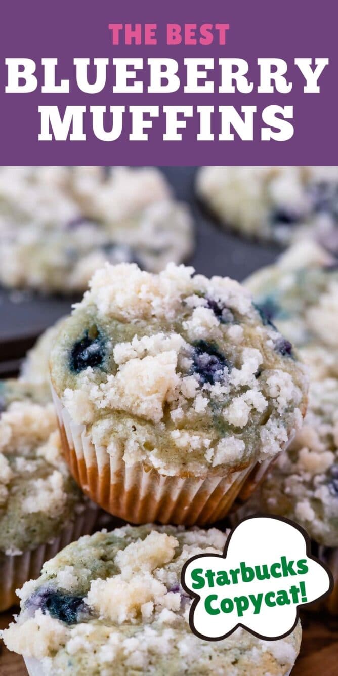 blueberry muffin sitting on stack of muffins with words on photo