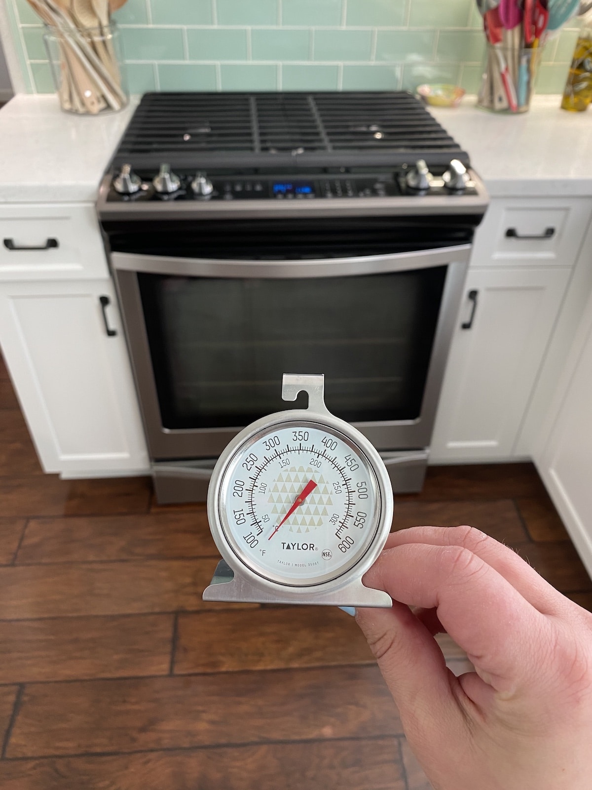 Hand holding oven thermometer with oven behind