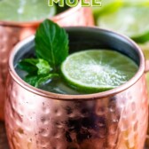 Classic moscow mule in copper mug topped with mint leaves and a lime slice with recipe title on top of image