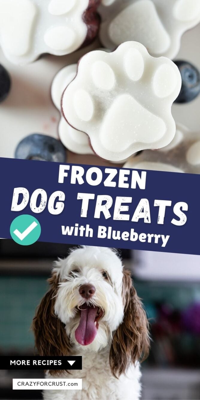 Photo collage showing frozen dog treats and my god with the recipe title in the middle of two photos
