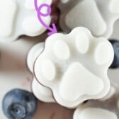 Overhead shot of a bunch of frozen dog treats on a plate with blueberries and recipe title on top of image