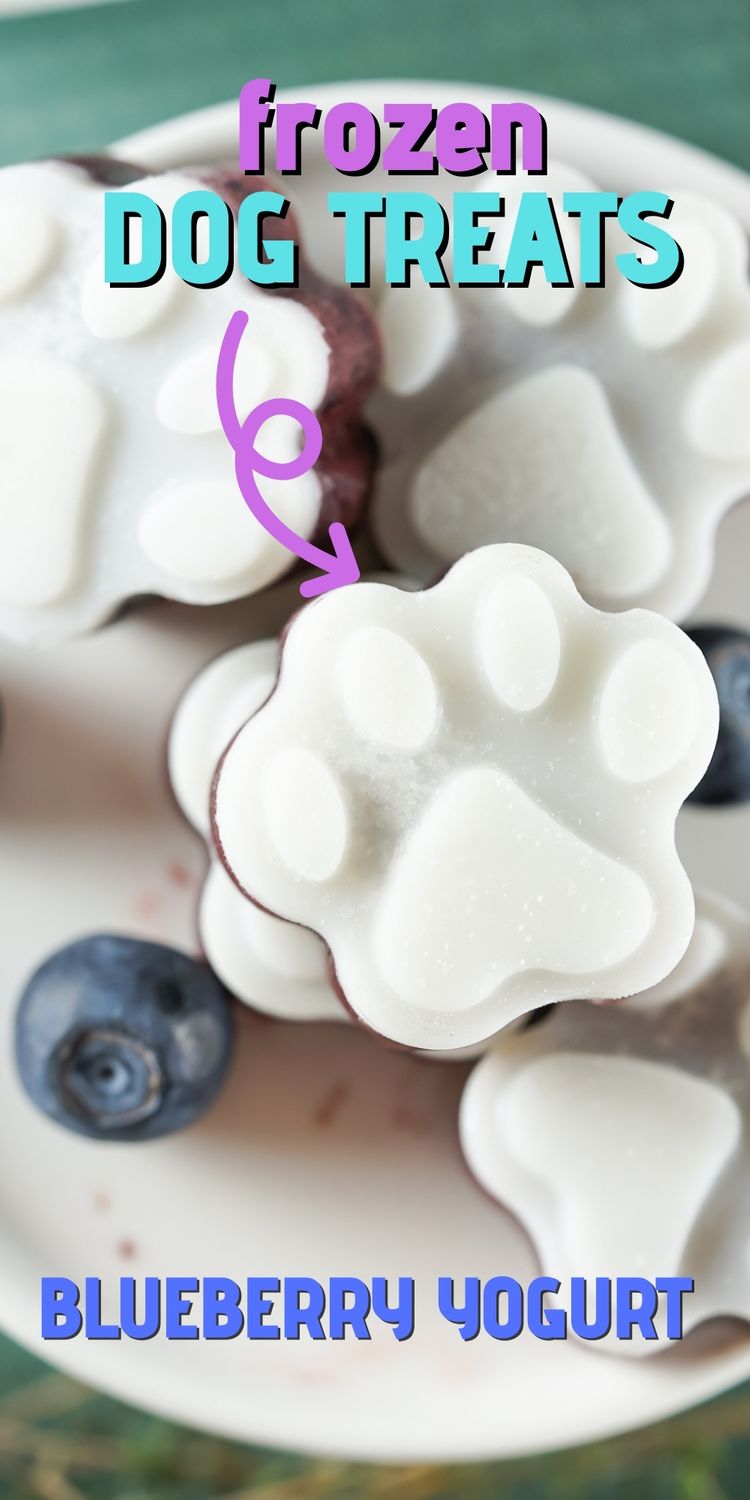 Overhead shot of a bunch of frozen dog treats on a plate with blueberries and recipe title on top of image