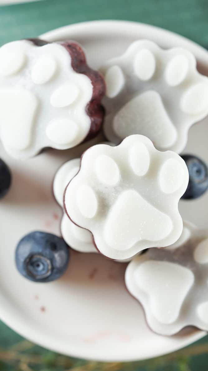 Overhead shot of a bunch of frozen dog treats on a plate with blueberries