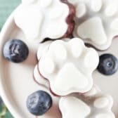 Overhead shot of a bunch of frozen dog treats on a plate with blueberries