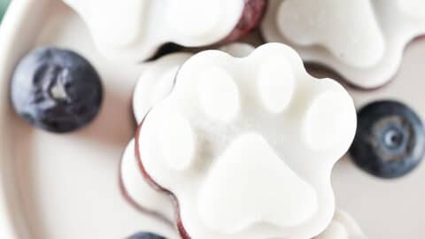 Blueberry yogurt dog treat recipe cheap