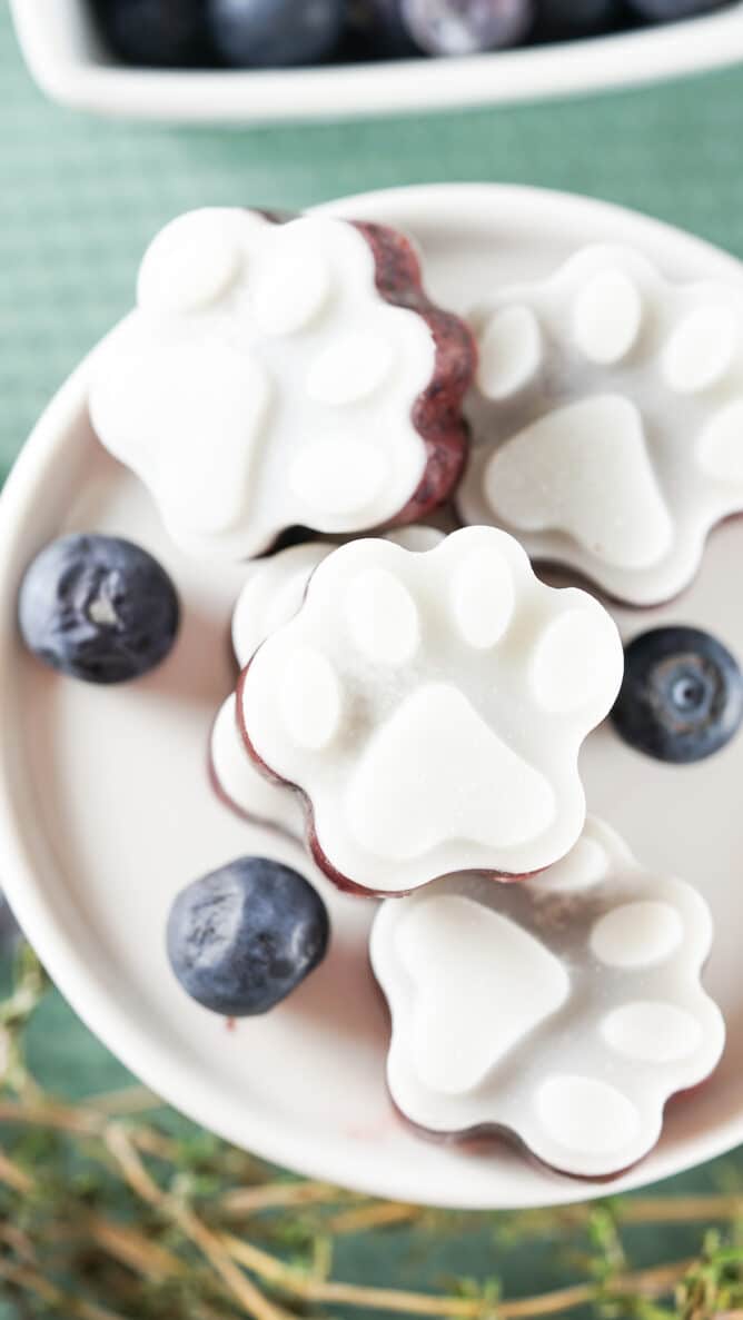 Overhead shot of a bunch of frozen dog treats on a plate with blueberries