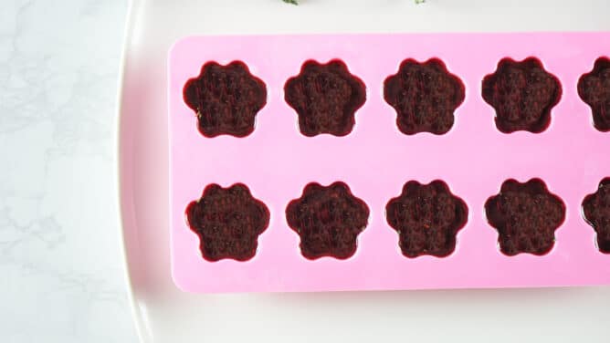 silicone paw print mold with blueberry mixture inside