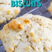 biscuit on rack