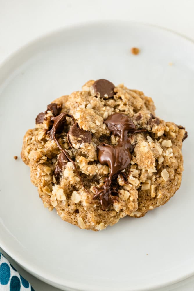 One oatmeal chocolate chip cookie on a white plate