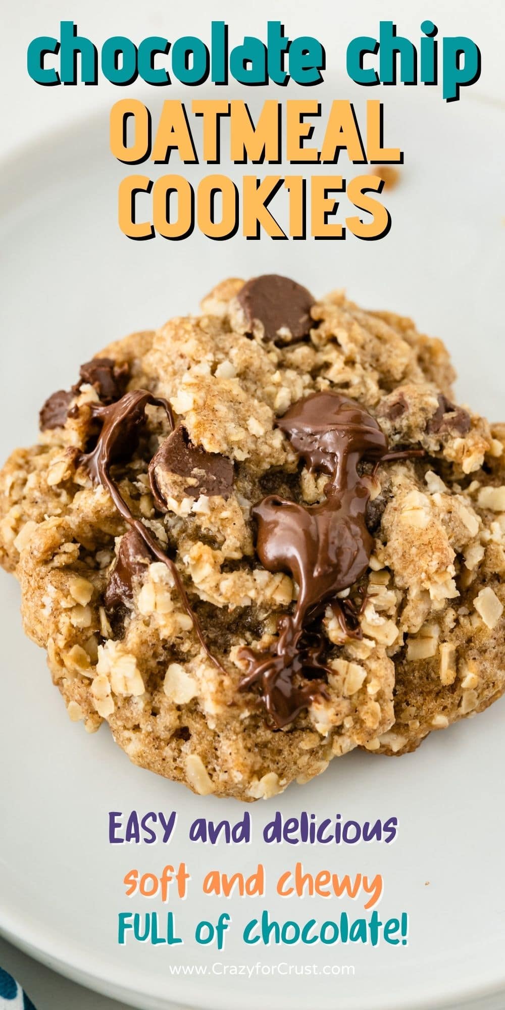 One oatmeal chocolate chip cookie with recipe title on top of image