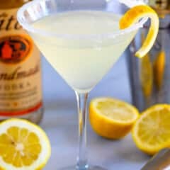 lemon drink in martini glass with shaker behind