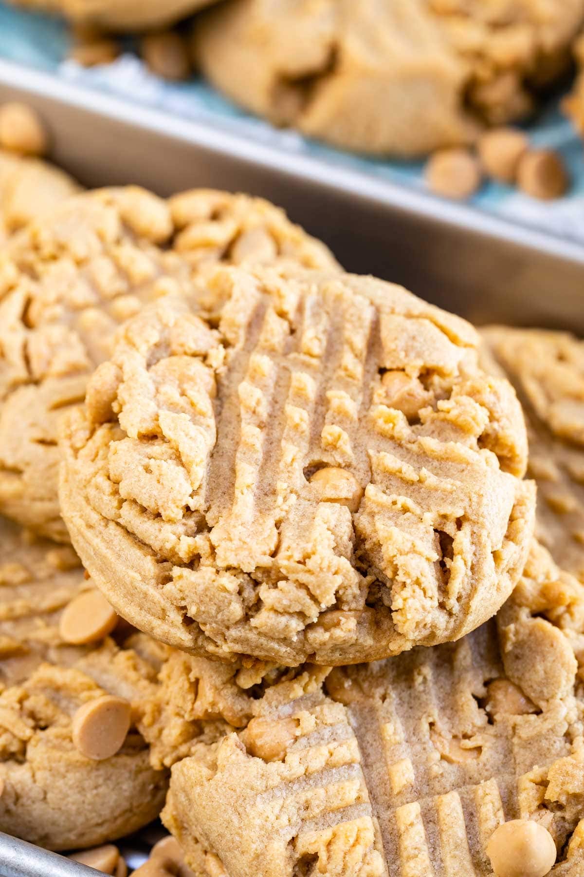 Close up shot of XL bakery style peanut butter cookies on a sheet pan