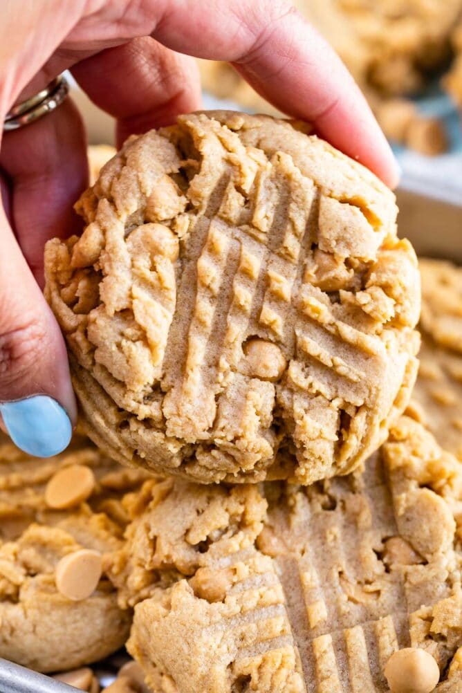 Hand holding up one XL bakery style peanut butter cookie