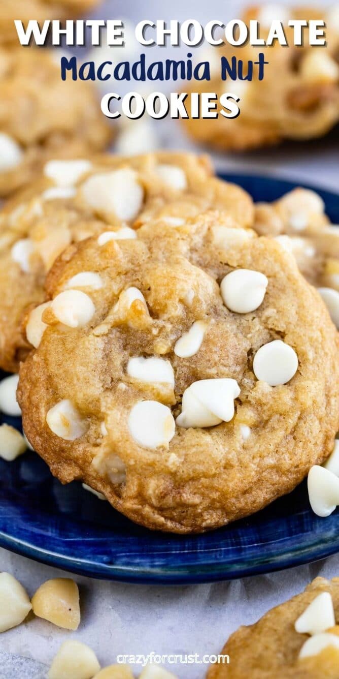 cookies on blue plate