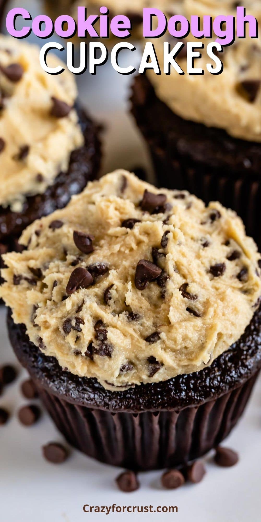 Chocolate cupcakes with cookie dough frosting and mini chocolate chips on top and recipe title on top of image