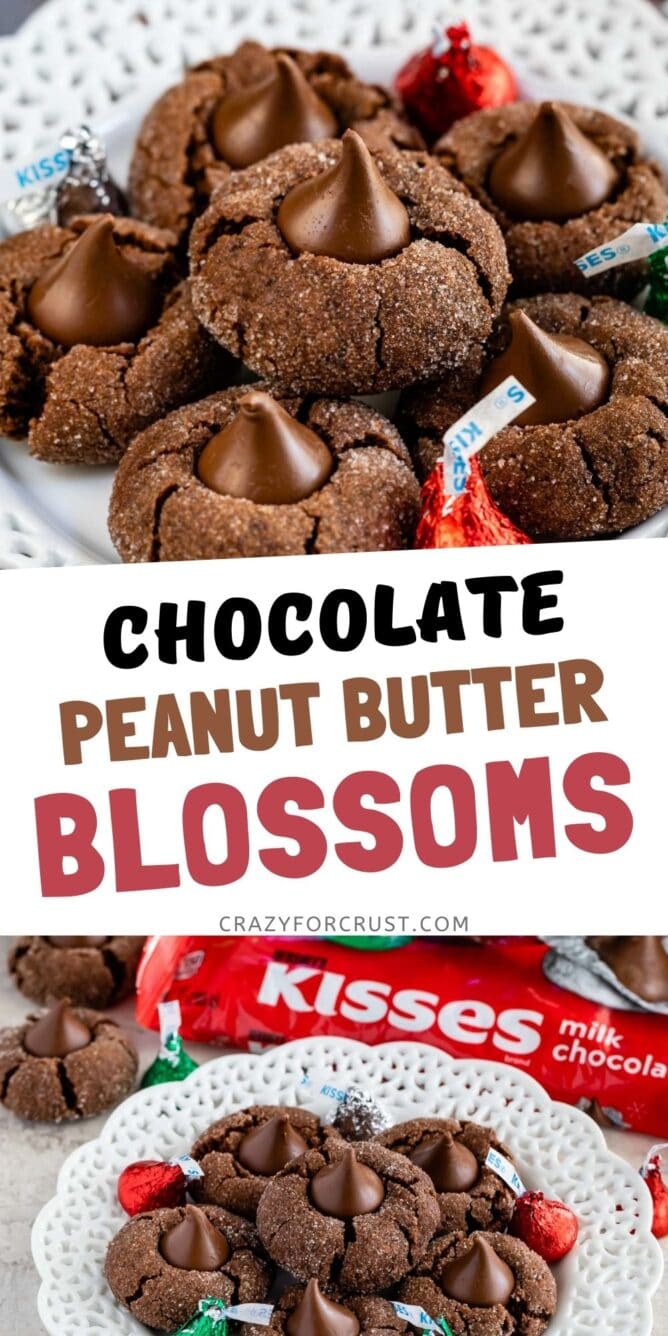 Photo collage of chocolate peanut butter blossoms with recipe title in the middle of two photos