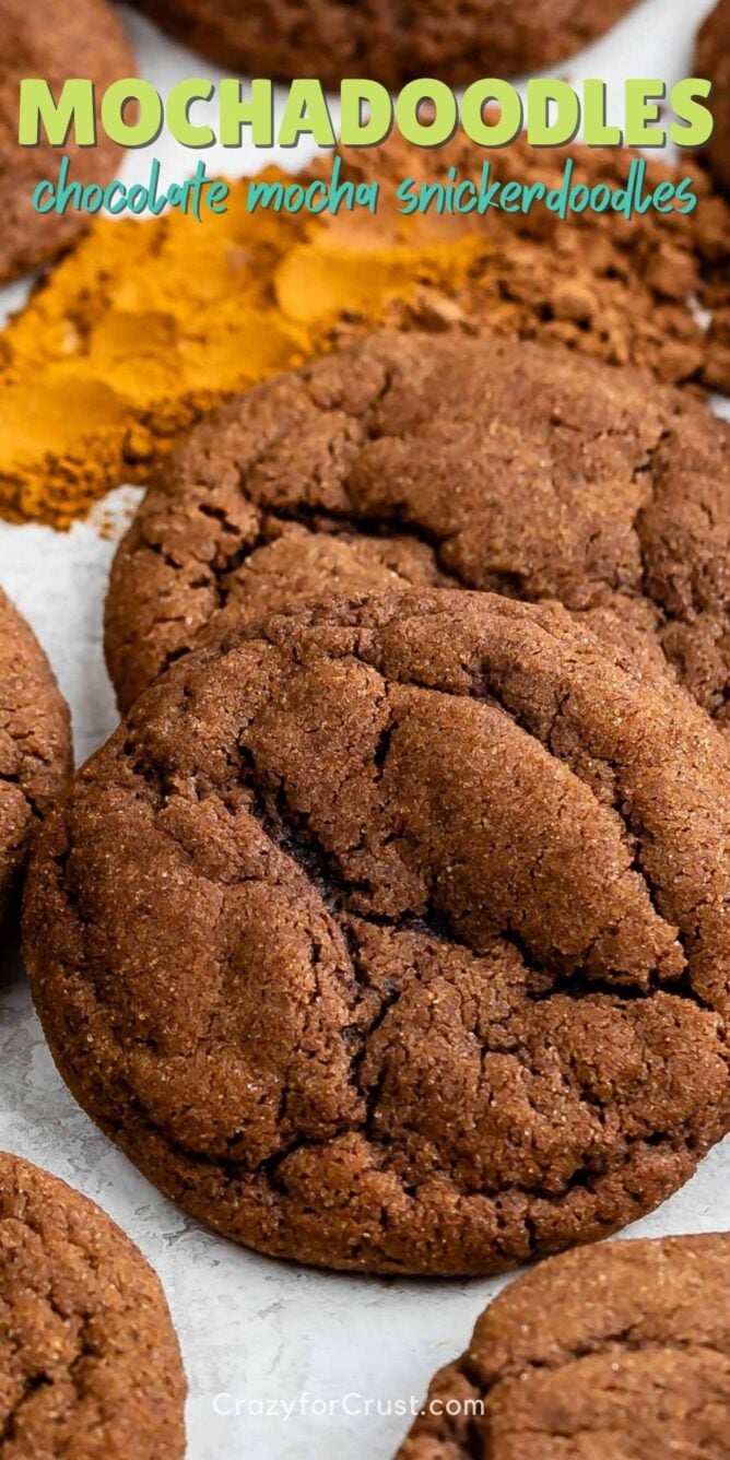 chocolate snickerdoodles on white background