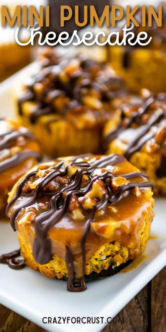 Close up shot of mini turtle pumpkin cheesecakes with recipe title on top of image