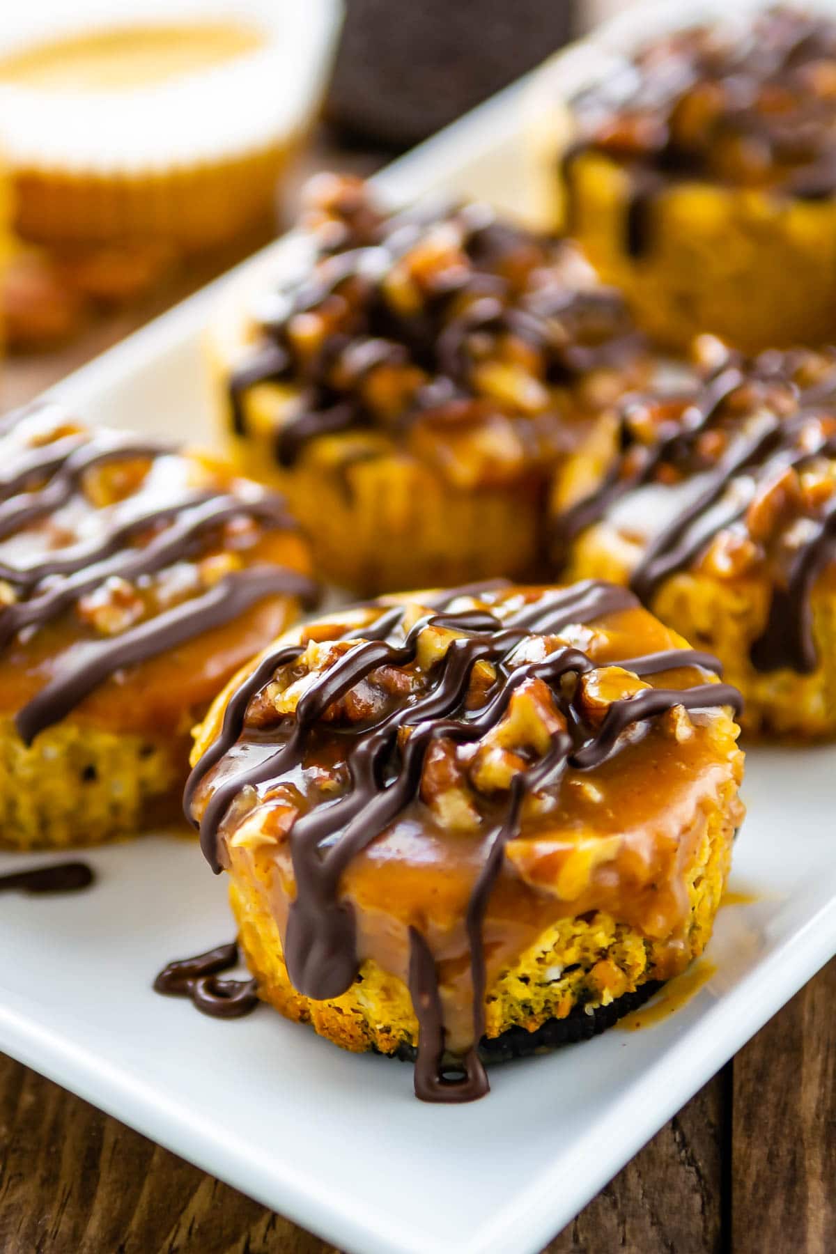 Close up shot of mini turtle pumpkin cheesecakes