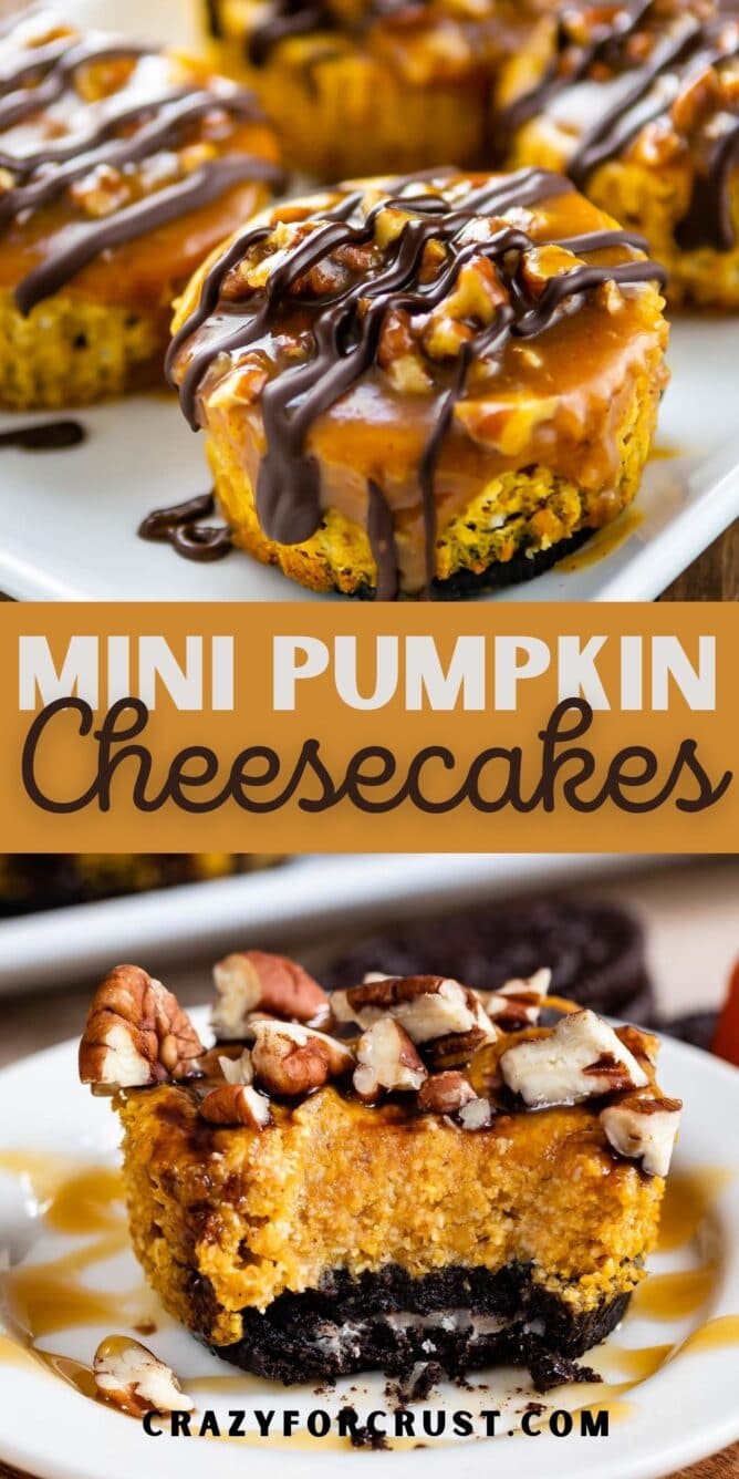 Photo collage of mini turtle pumpkin cheesecakes with recipe title in the middle of two photos