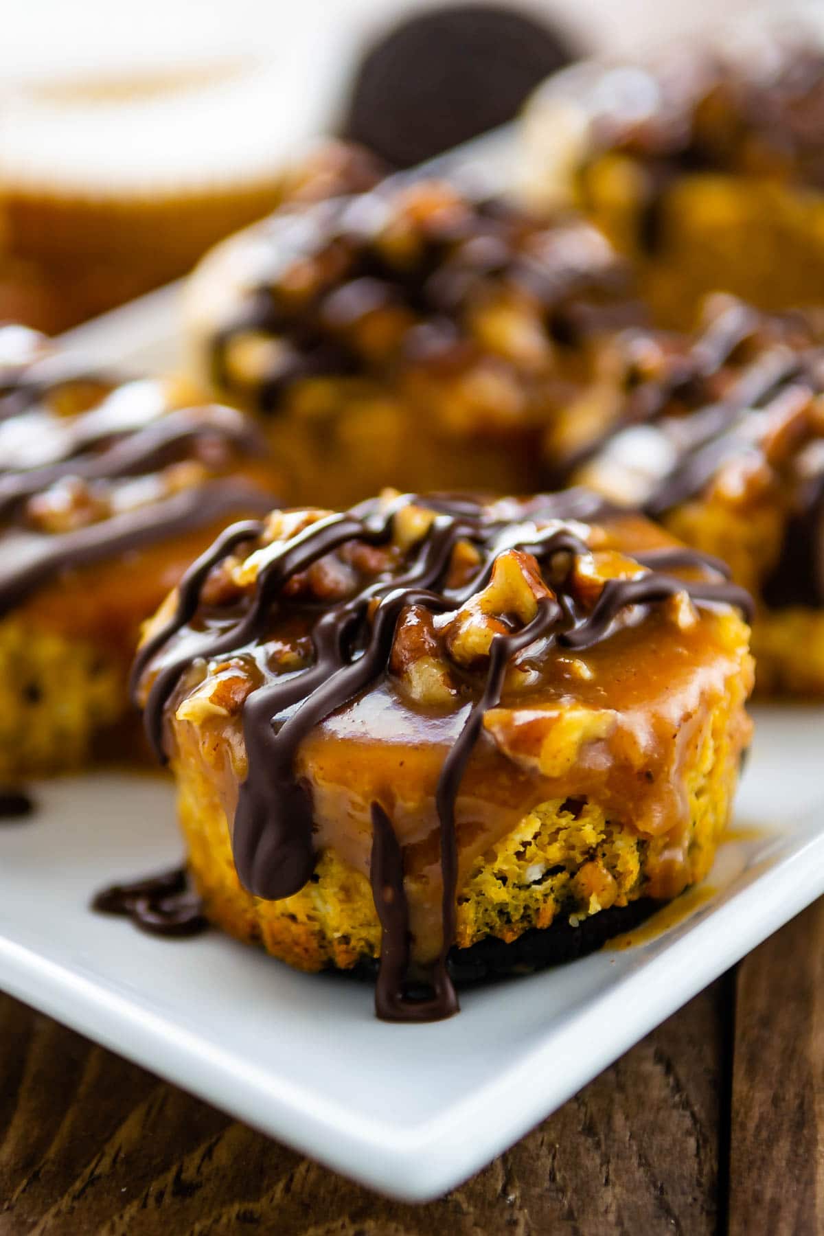 Close up shot of mini turtle pumpkin cheesecakes