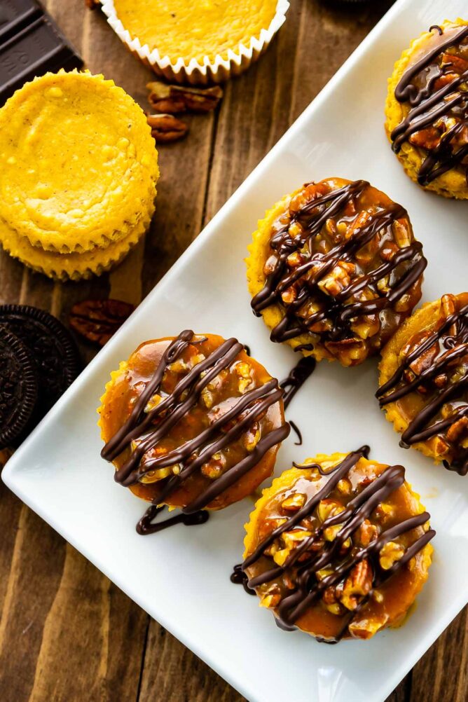 Overhead shot of mini turtle pumpkin cheesecakes on a white plate