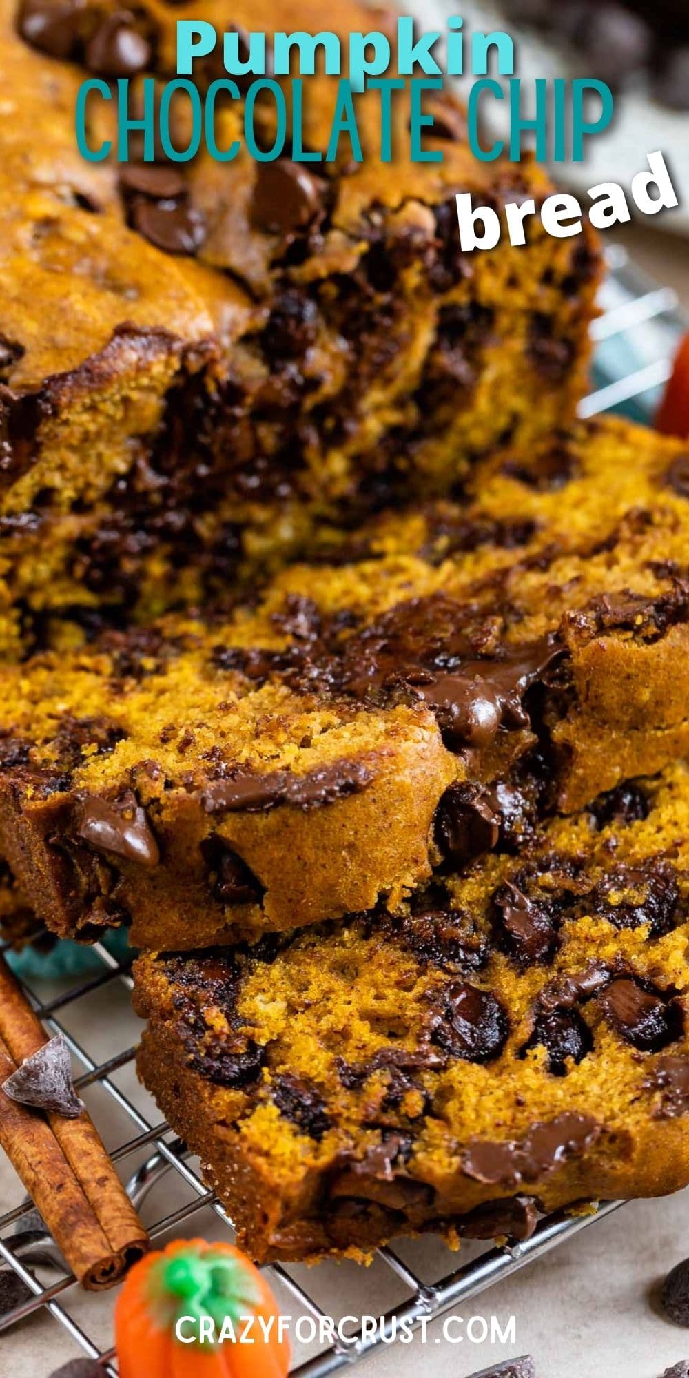 Loaf of pumpkin chocolate chip bread with recipe title on the top of image