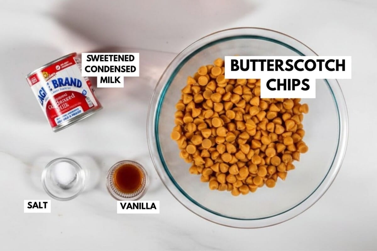 A glass bowl filled with butterscotch chips sits beside salt, vanilla, and a can of sweetened condensed milk—all labeled—showcasing the simple ingredients needed to make homemade Butterscotch Fudge.