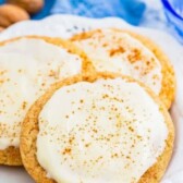 cropped-eggnogsnickerdoodlescover.jpg