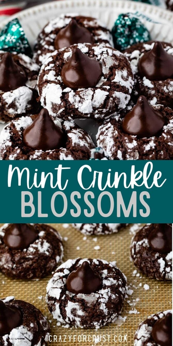 Photo collage of chocolate mint kiss crinkle cookies with recipe title in the middle of two photos