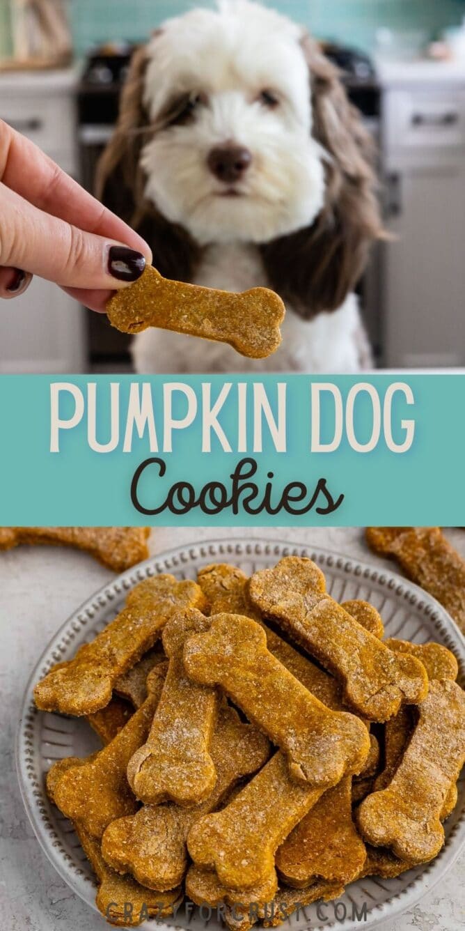 Photo collage of pumpkin peanut butter dog cookies with recipe title in the middle of photos