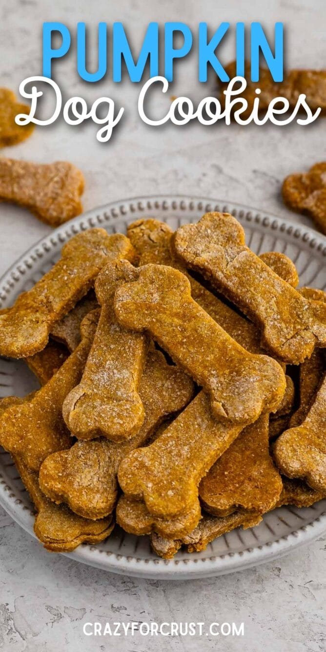 Plate full of pumpkin peanut butter dog cookies with recipe title on top of image