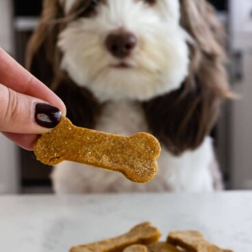 Dog sitting in front of plate full of pumpkin peanut butter dog cookies with recipe title on top of image