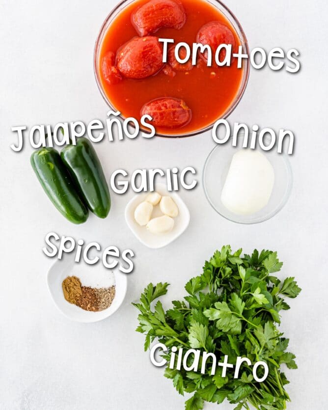 Overhead shot of ingredients needed to make easy salsa