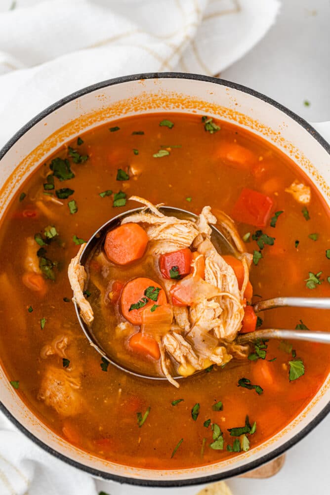 Overhead shot of ladle scooping up bbq chicken soup from the soup pot