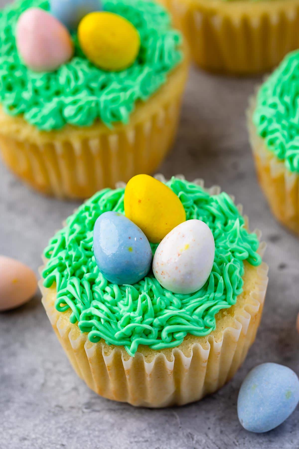 Close up shot of easter nest cupcakes